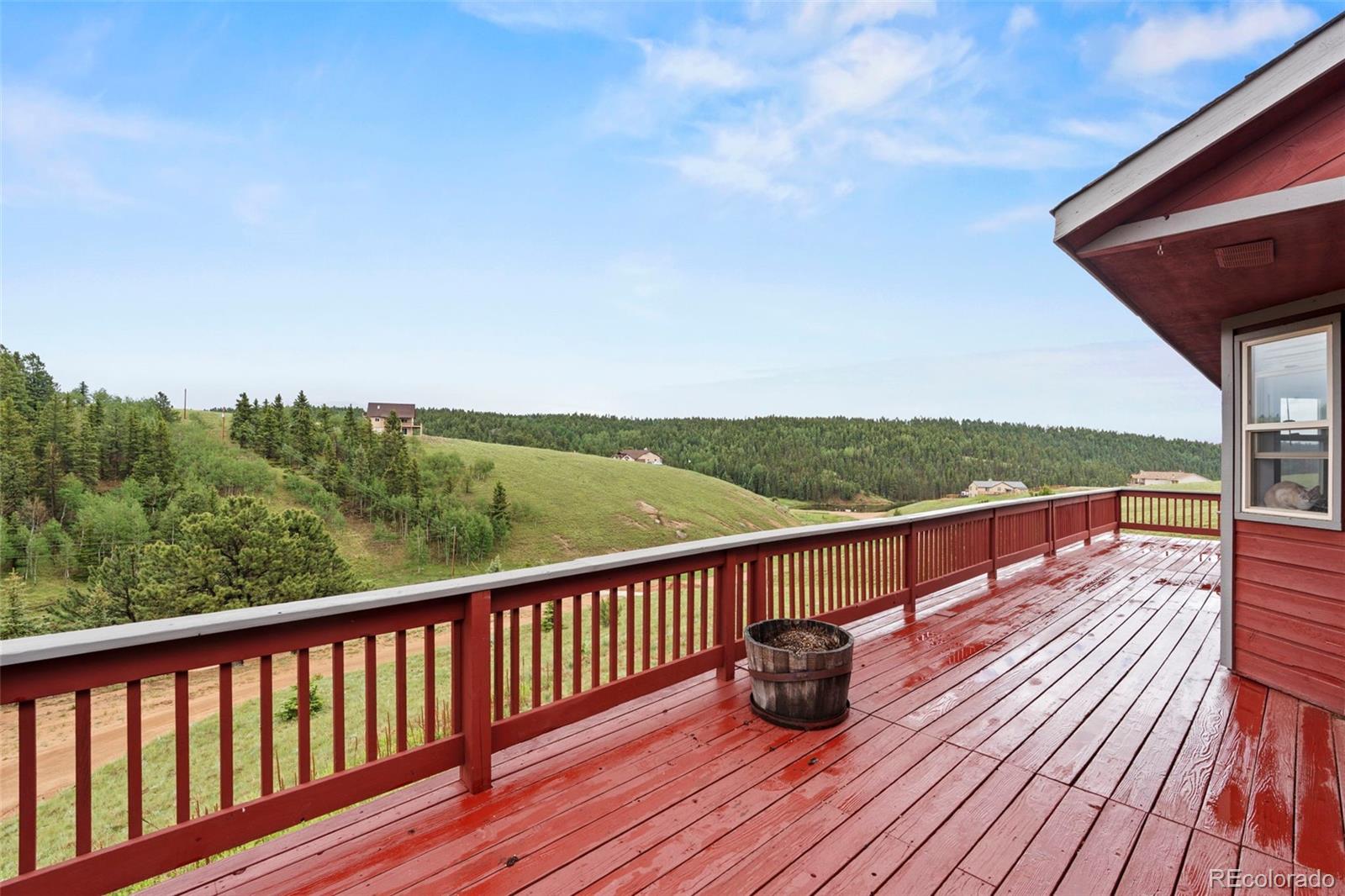 MLS Image #40 for 255  twin lakes drive,divide, Colorado