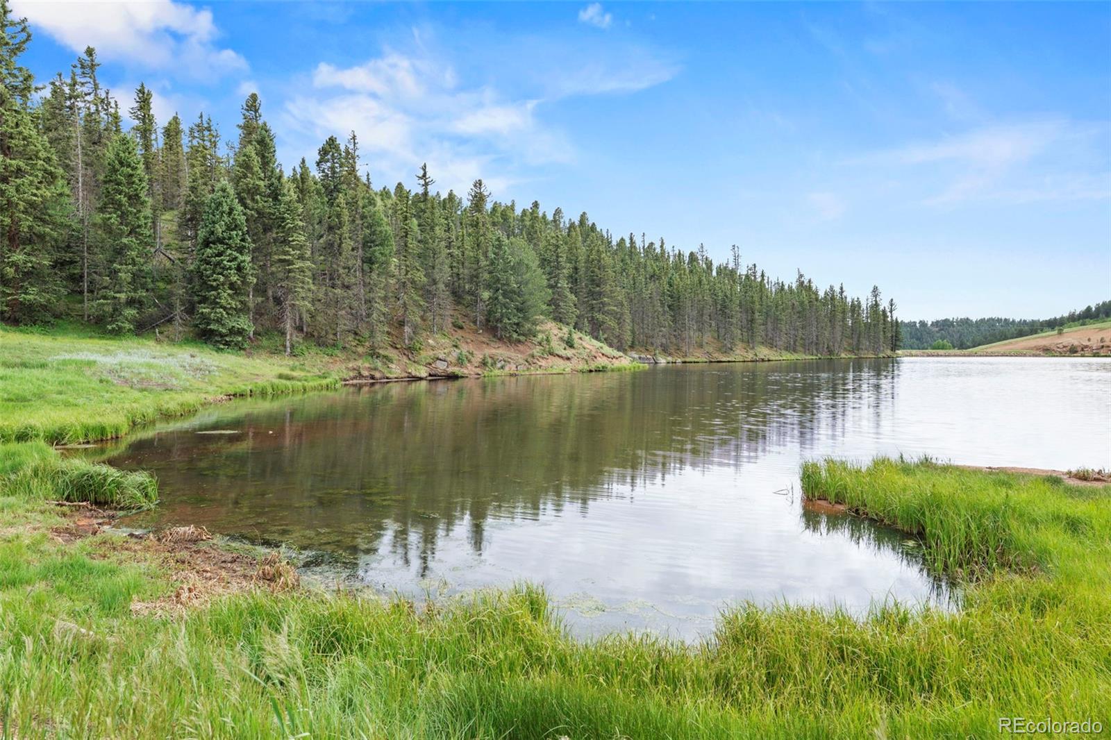 MLS Image #47 for 255  twin lakes drive,divide, Colorado