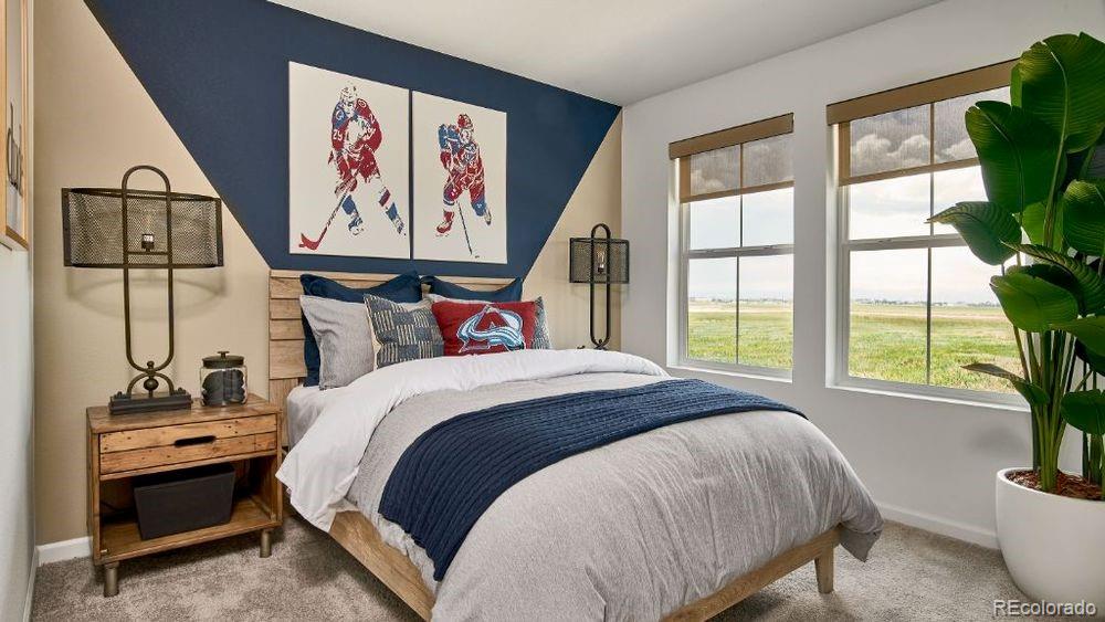 MLS Image #14 for 13342  blue amber court,parker, Colorado