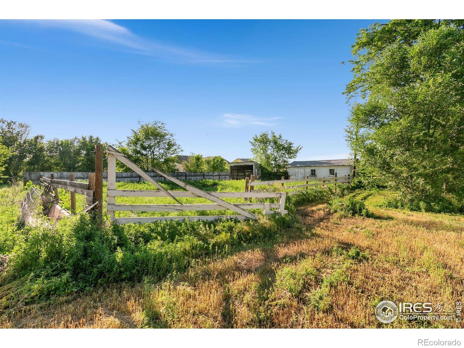 MLS Image #32 for 35779  county road 21 ,windsor, Colorado