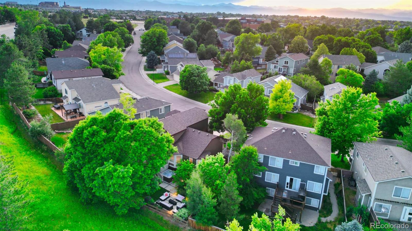 MLS Image #4 for 5150  morning glory place,highlands ranch, Colorado