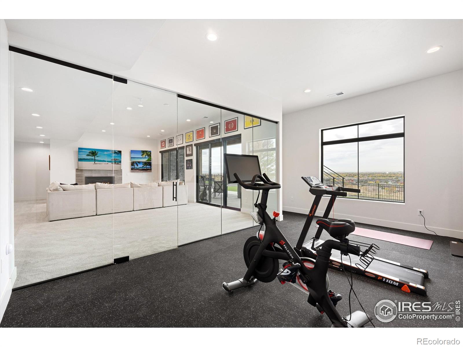 MLS Image #29 for 2145  picture pointe drive,windsor, Colorado