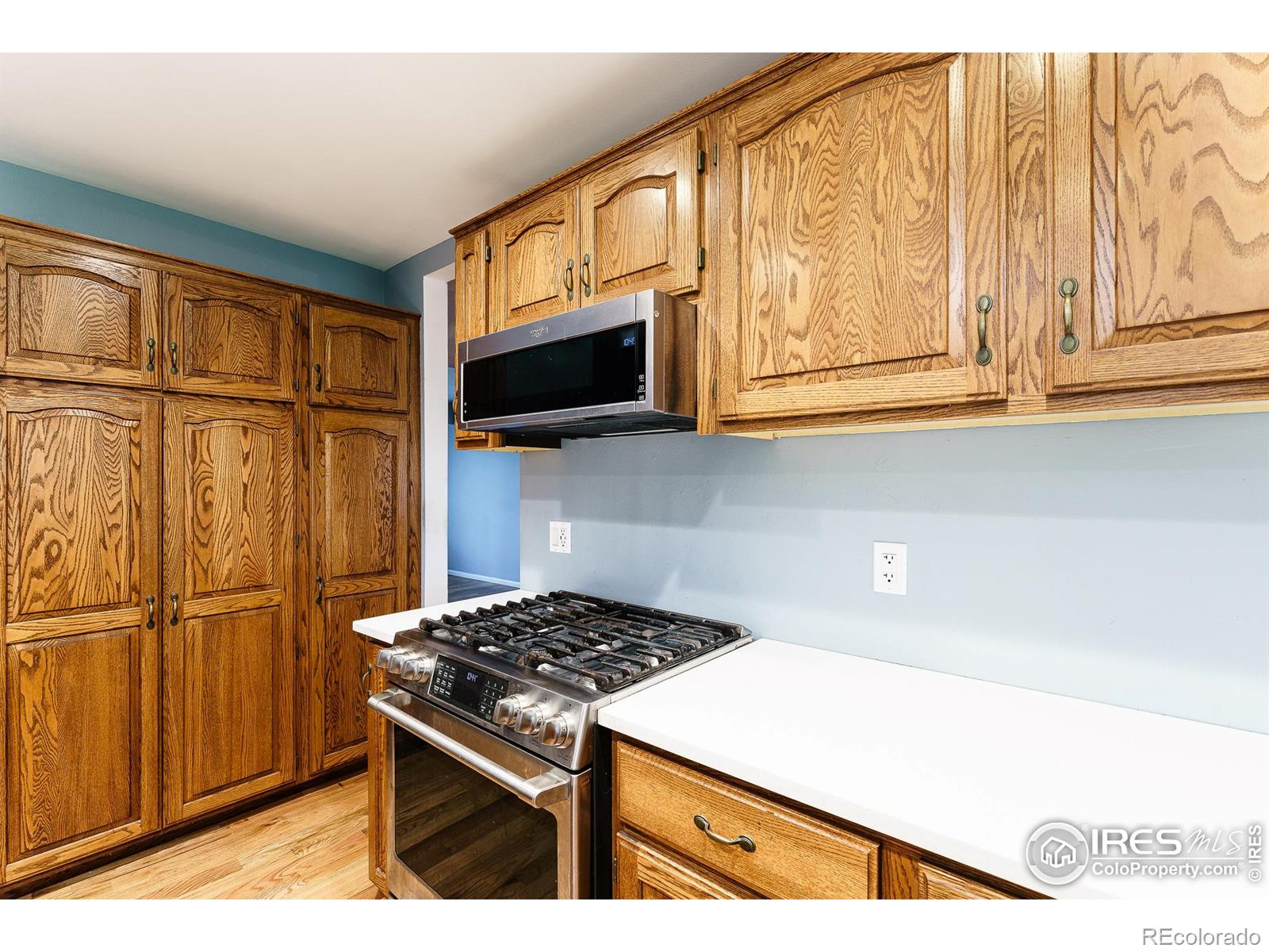 MLS Image #14 for 13313 w utah circle,lakewood, Colorado