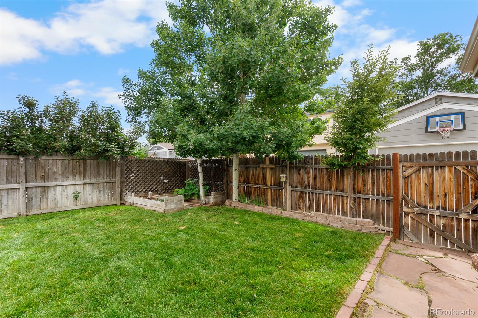 MLS Image #36 for 113  rockaway avenue,castle rock, Colorado