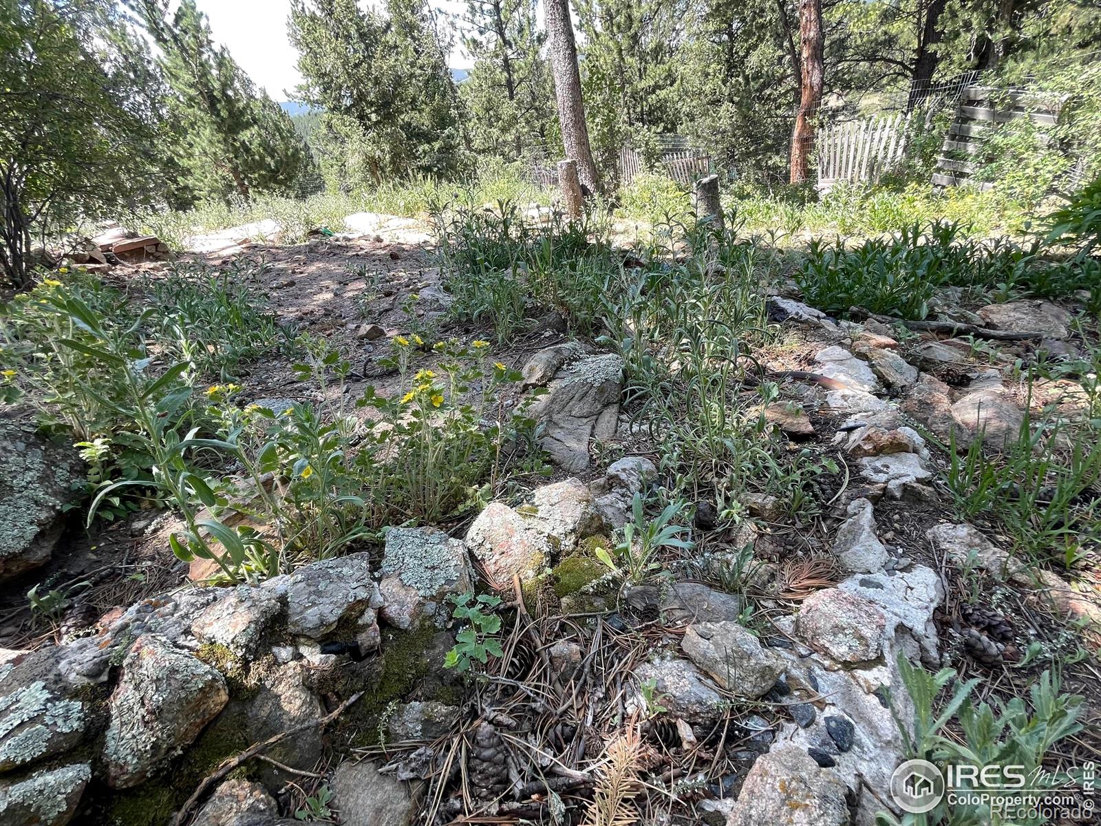 MLS Image #31 for 383  evergreen road,black hawk, Colorado