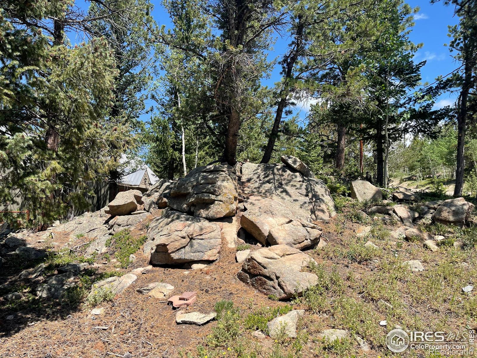 MLS Image #5 for 383  evergreen road,black hawk, Colorado