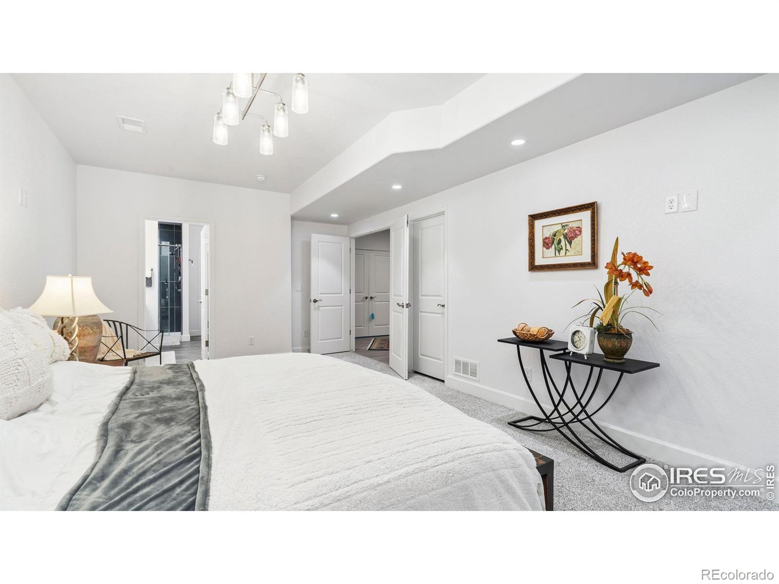 MLS Image #19 for 3625  como court,loveland, Colorado
