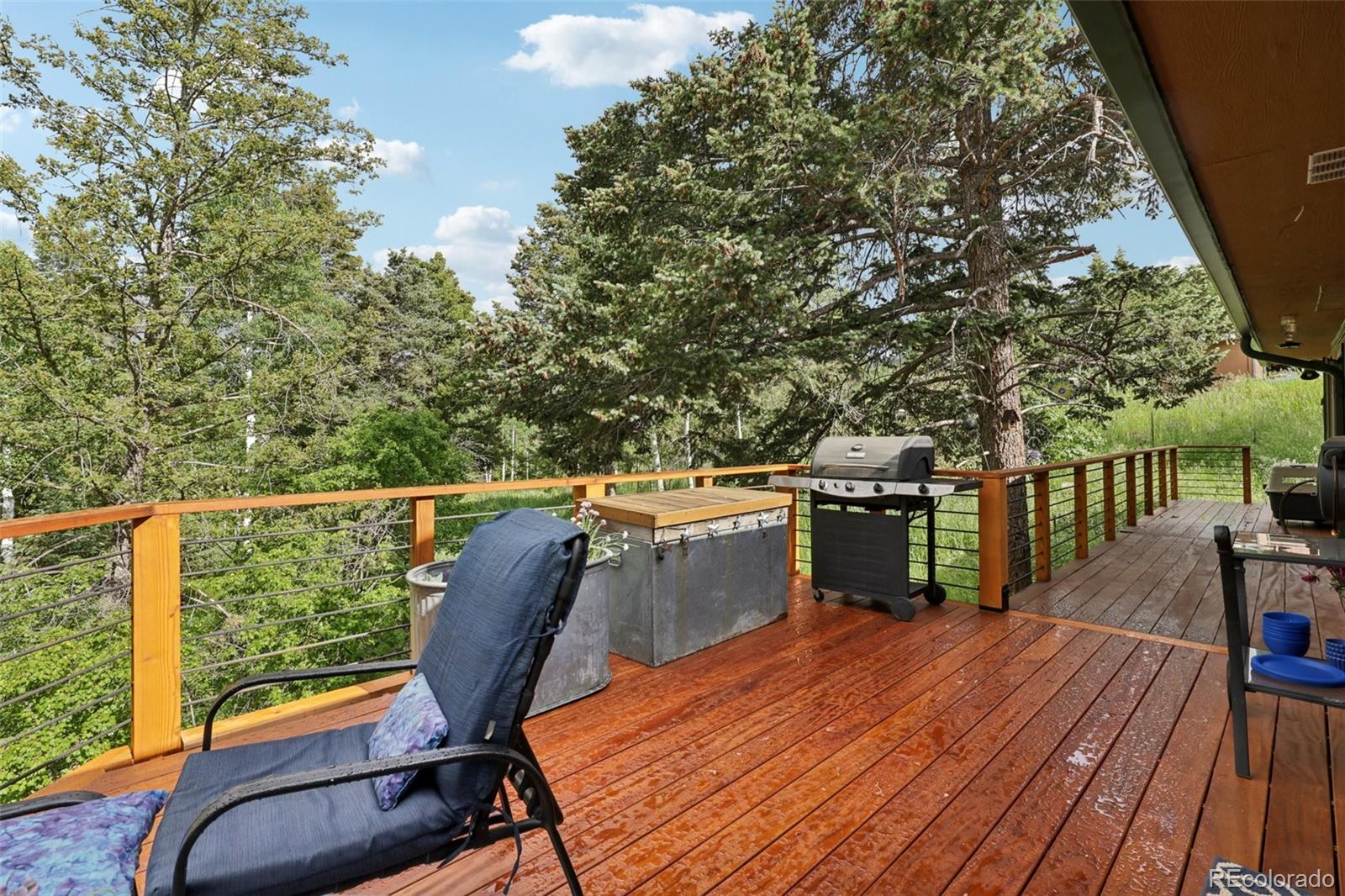 MLS Image #14 for 20033  silver ranch road,conifer, Colorado