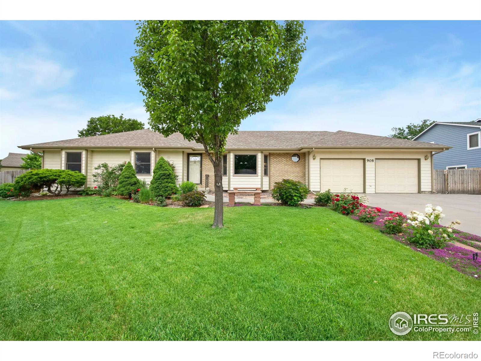 MLS Image #0 for 908  pine drive,windsor, Colorado
