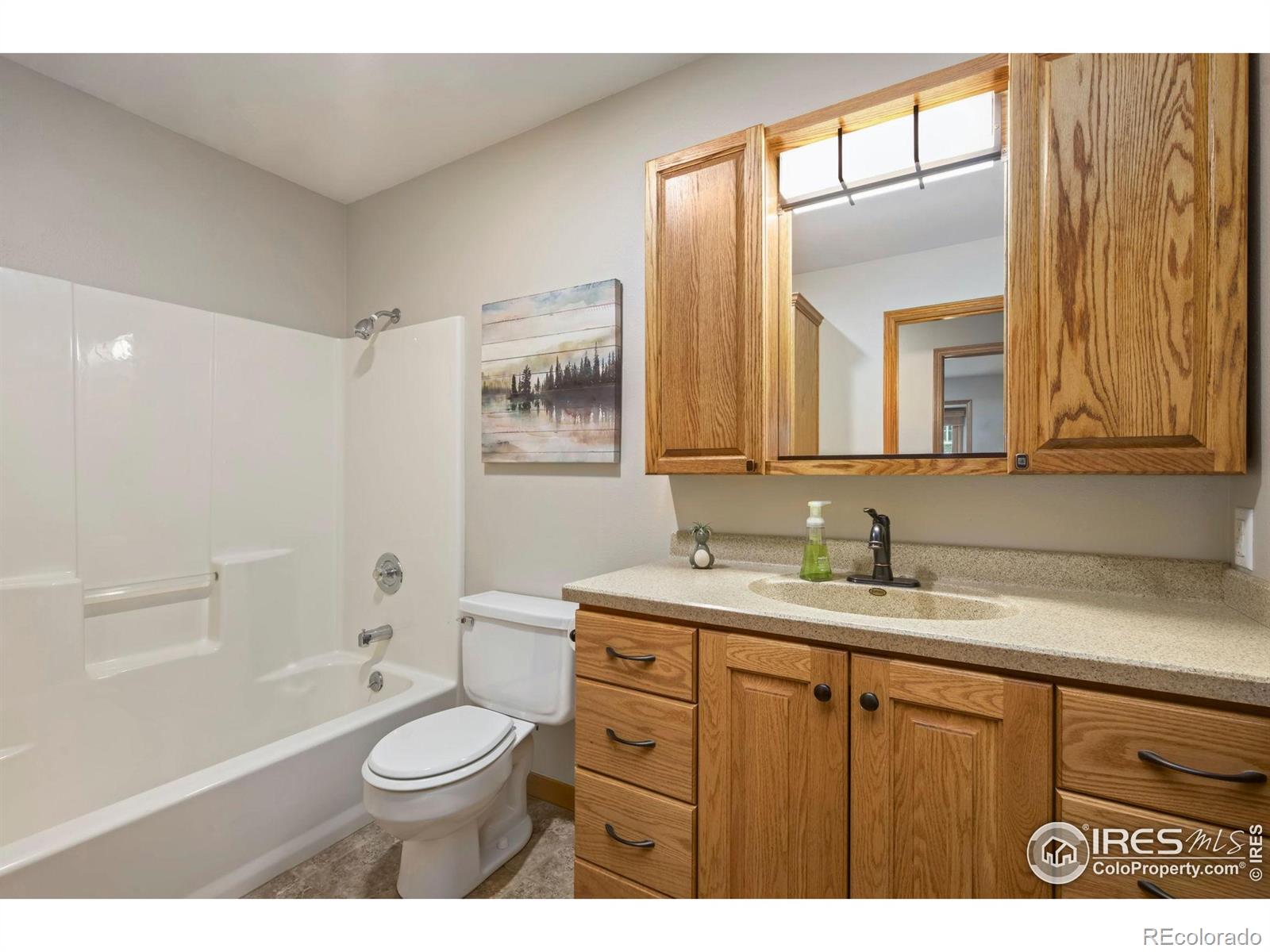 MLS Image #17 for 908  pine drive,windsor, Colorado