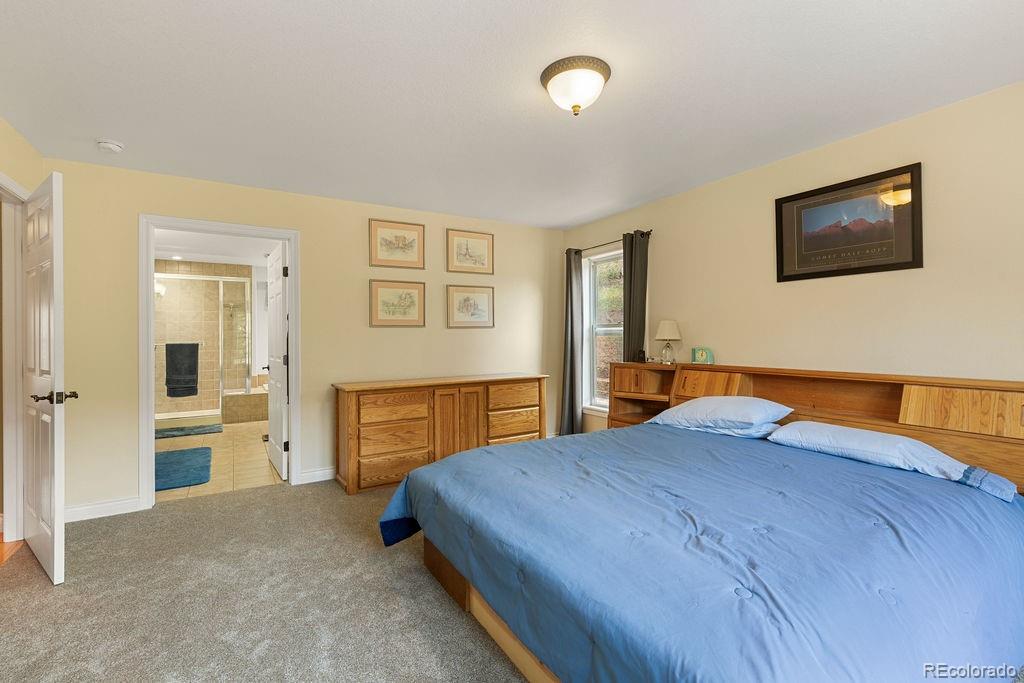 MLS Image #21 for 1563  southpark road,florissant, Colorado
