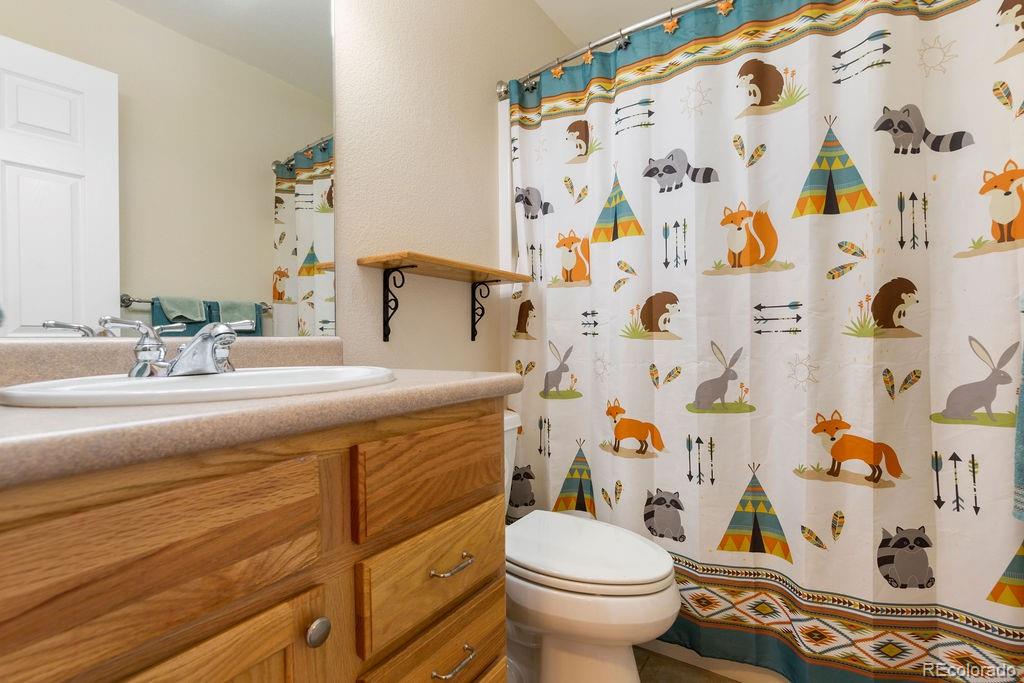 MLS Image #23 for 1563  southpark road,florissant, Colorado
