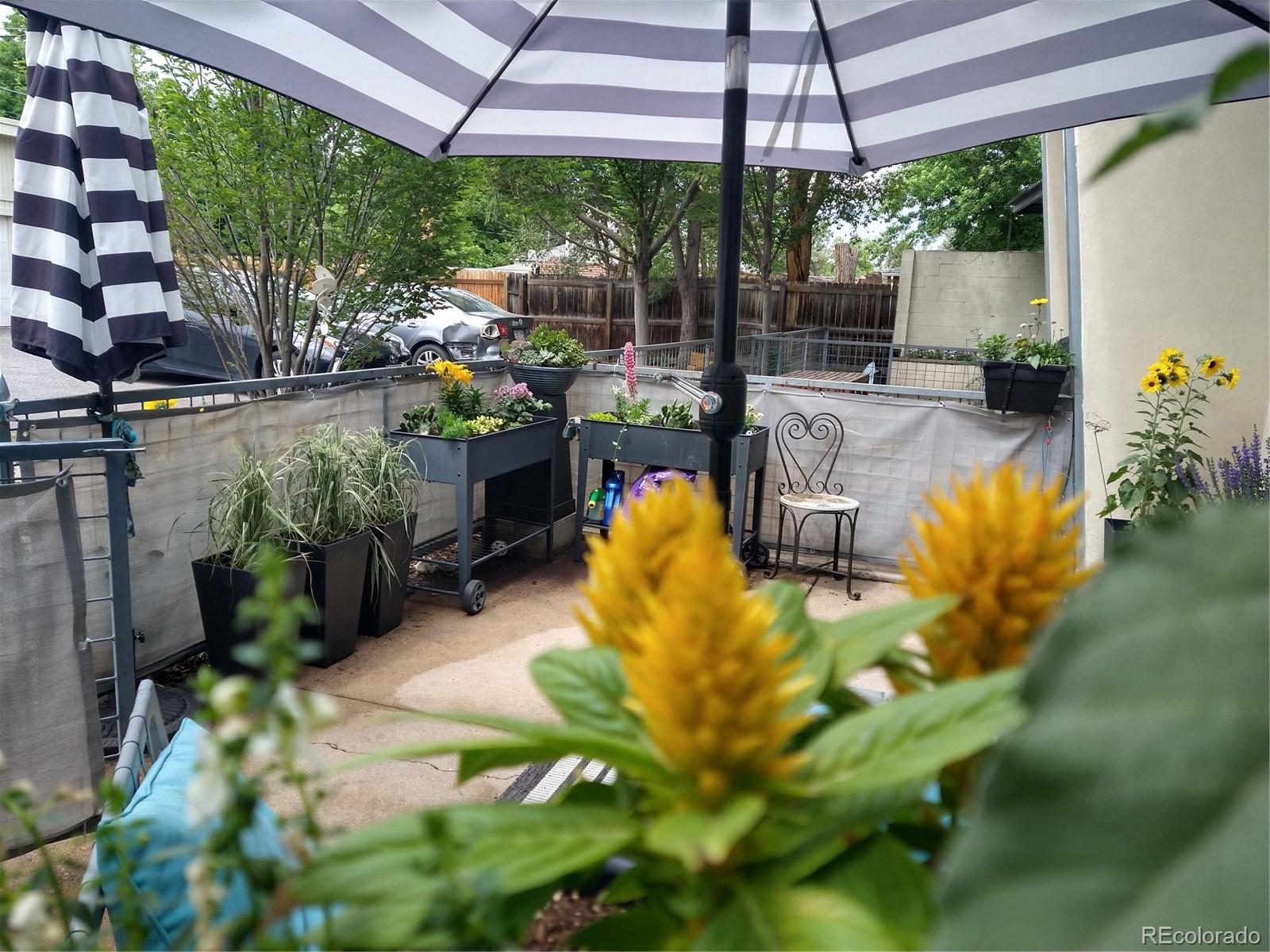 MLS Image #5 for 1421  oneida street,denver, Colorado