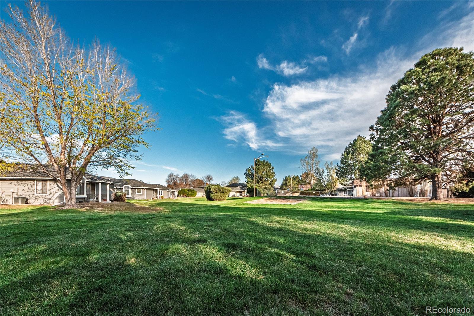 MLS Image #15 for 7945  york street,denver, Colorado