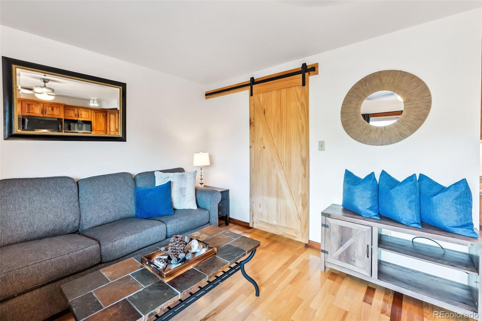 MLS Image #14 for 180  evergreen road,dillon, Colorado