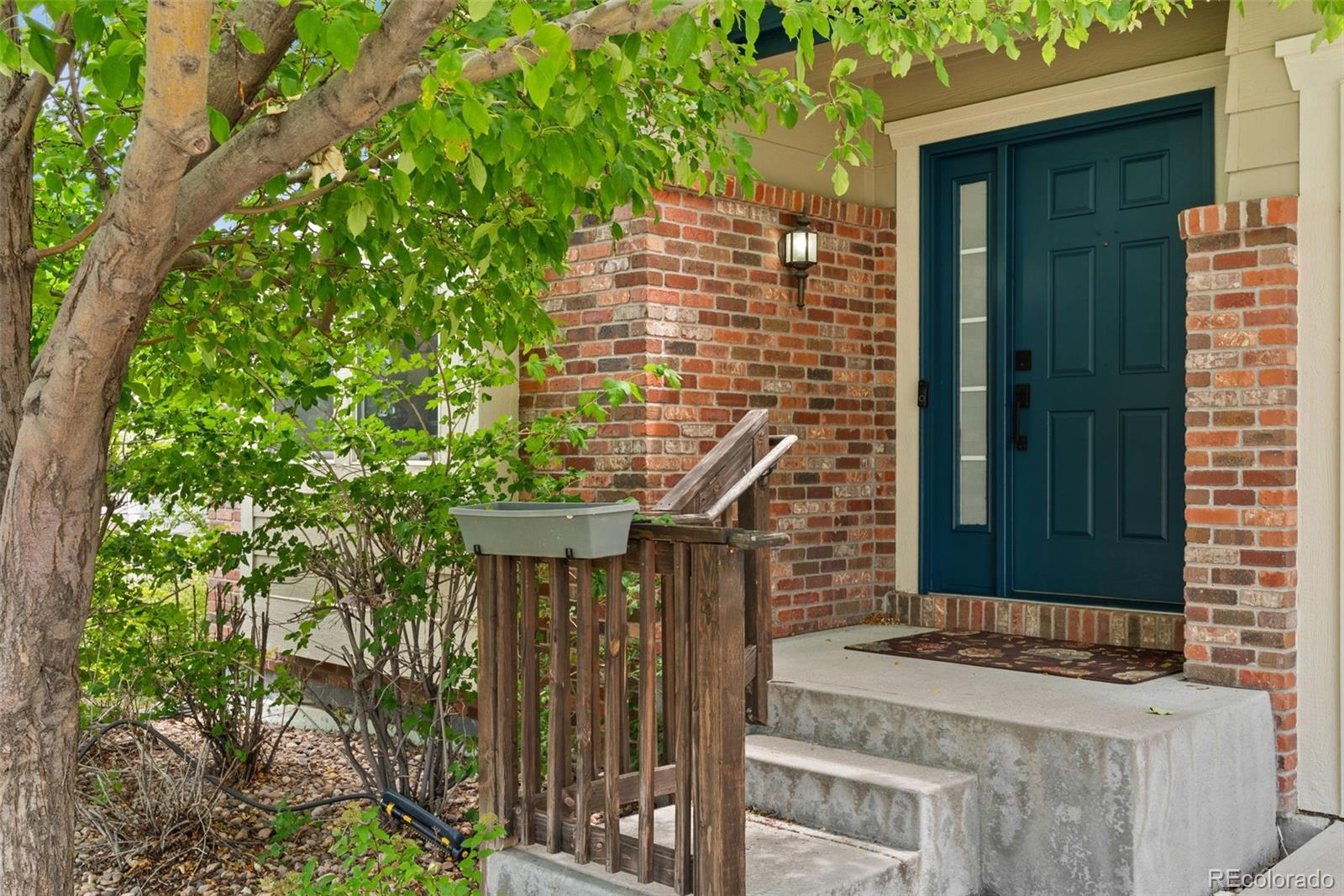 MLS Image #2 for 13646  dexter street,thornton, Colorado