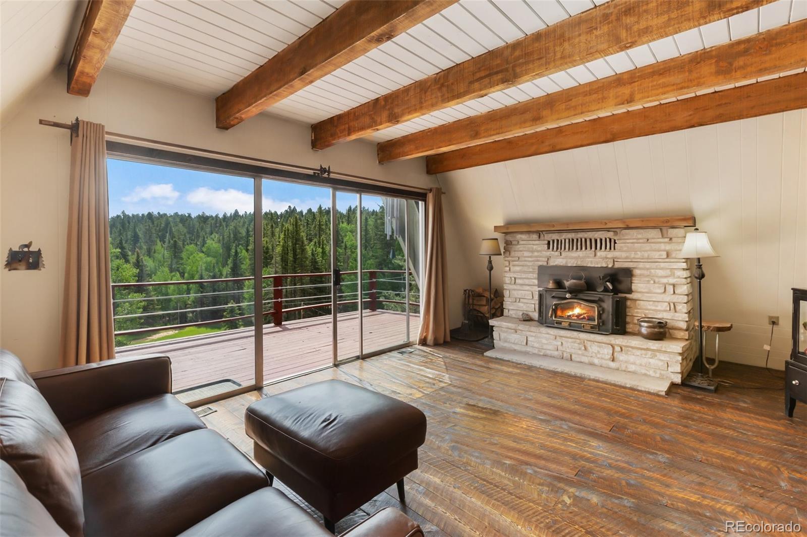 MLS Image #1 for 413 w lake drive,divide, Colorado