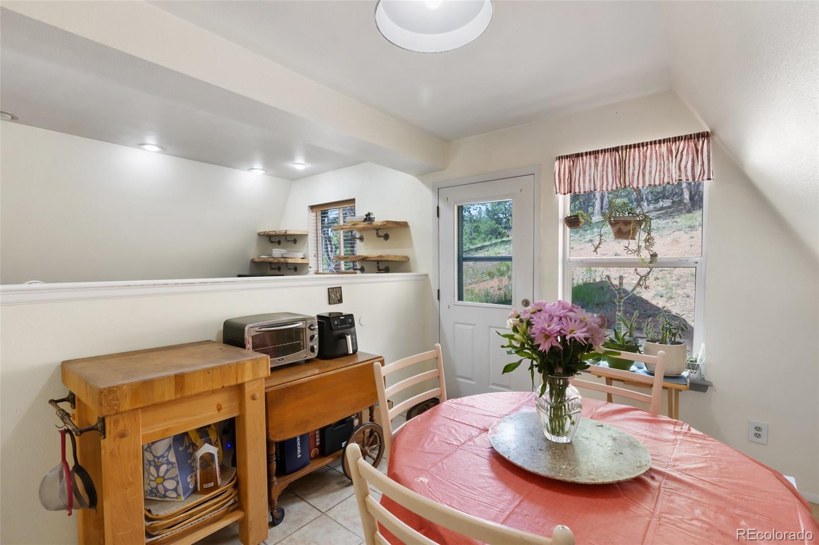MLS Image #13 for 413 w lake drive,divide, Colorado