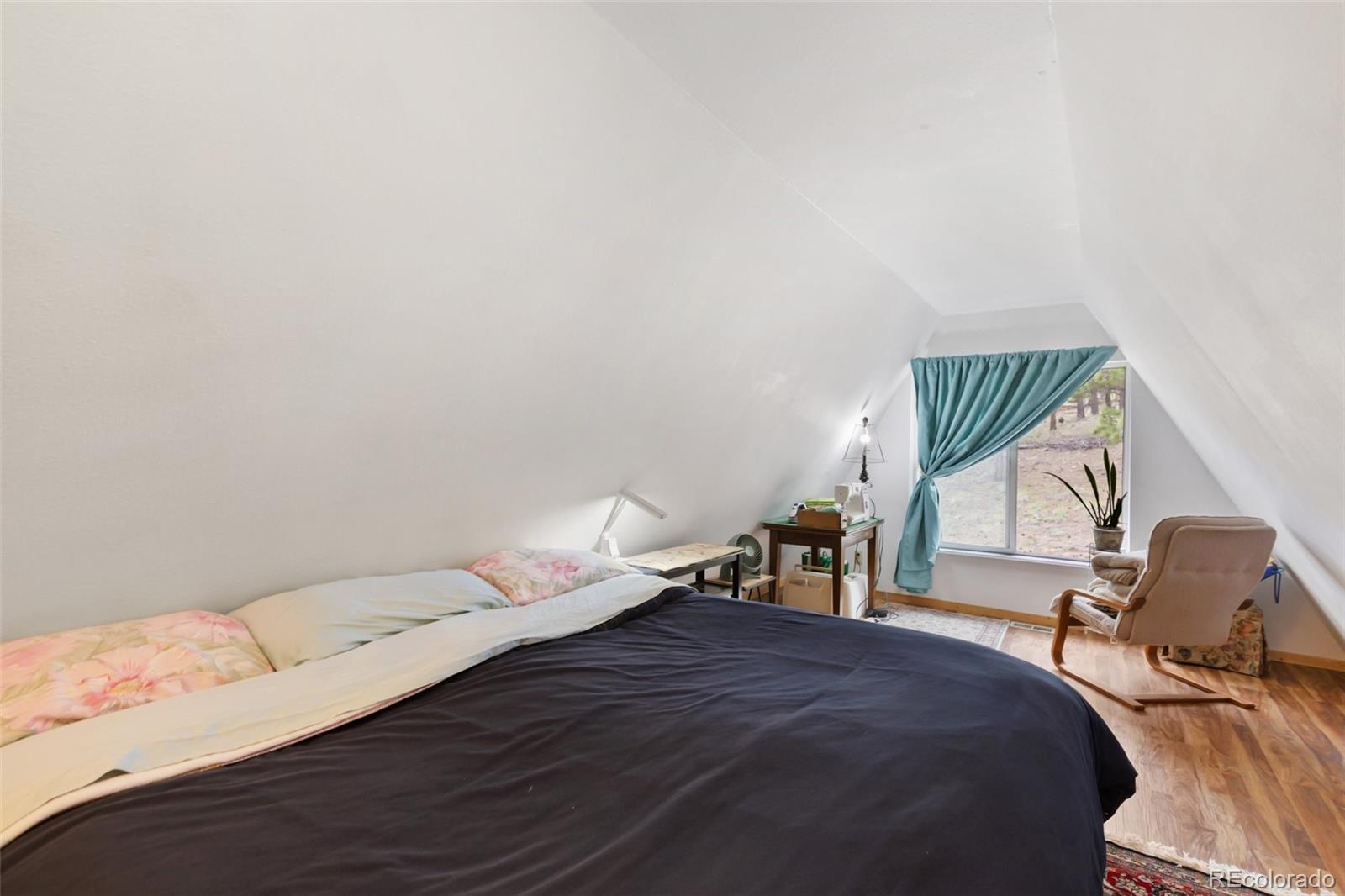 MLS Image #19 for 413 w lake drive,divide, Colorado