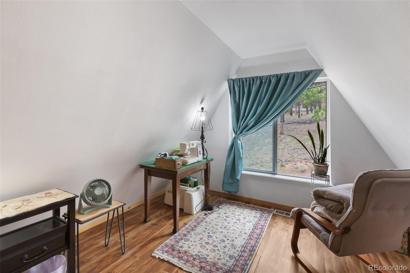 MLS Image #21 for 413 w lake drive,divide, Colorado