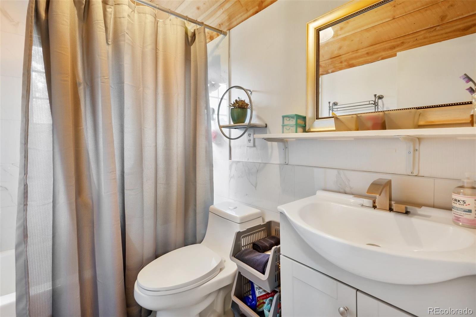 MLS Image #22 for 413 w lake drive,divide, Colorado