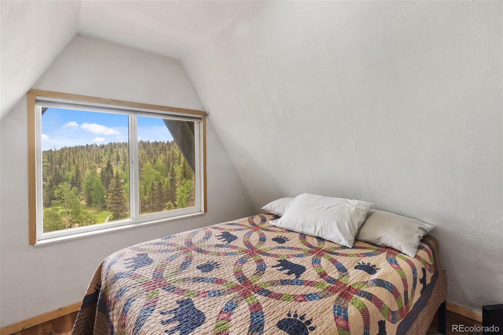 MLS Image #23 for 413 w lake drive,divide, Colorado