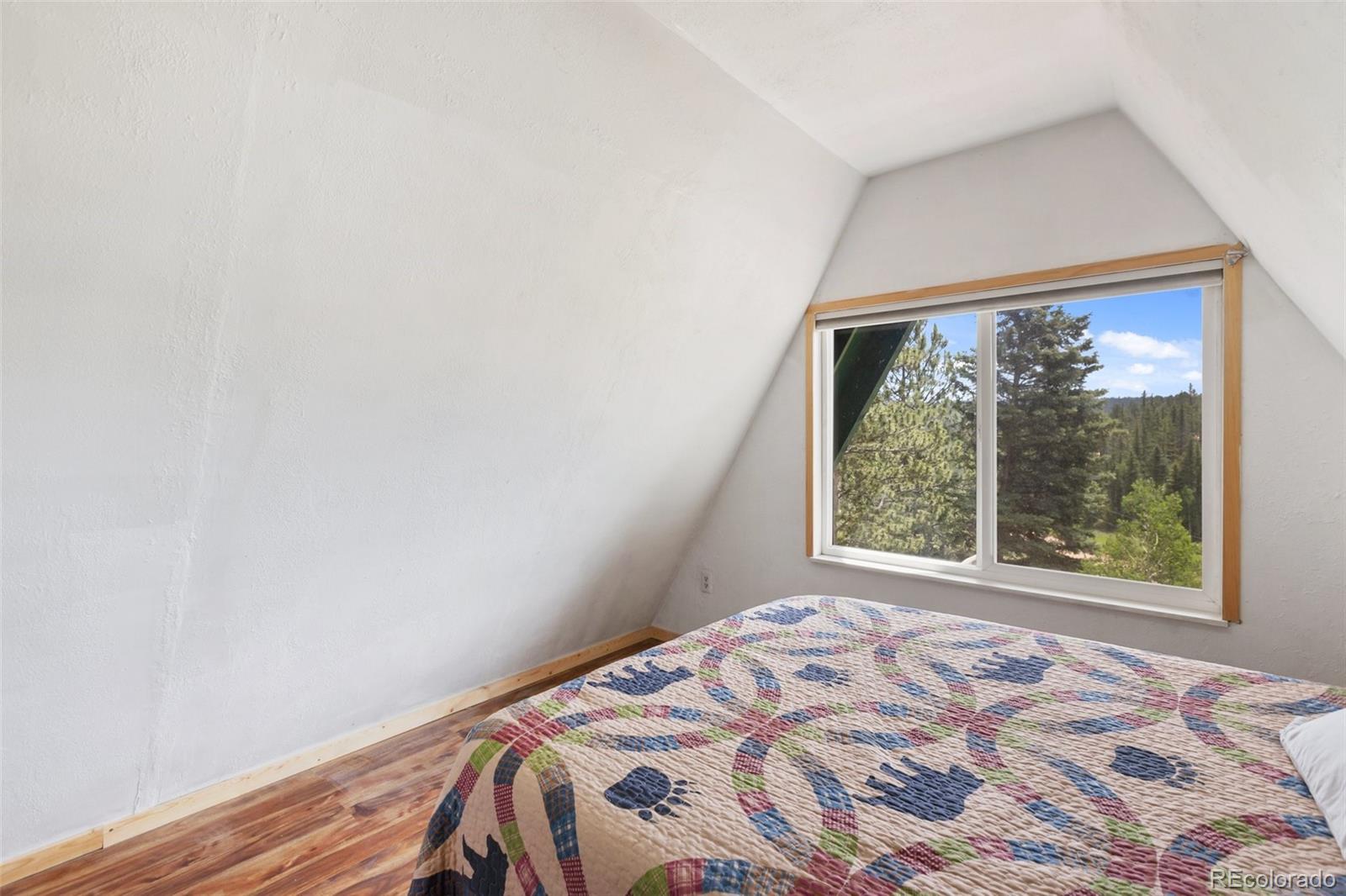MLS Image #25 for 413 w lake drive,divide, Colorado