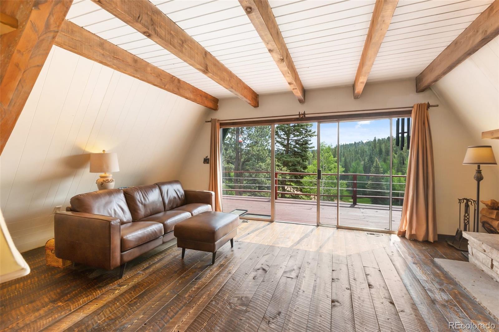 MLS Image #4 for 413 w lake drive,divide, Colorado