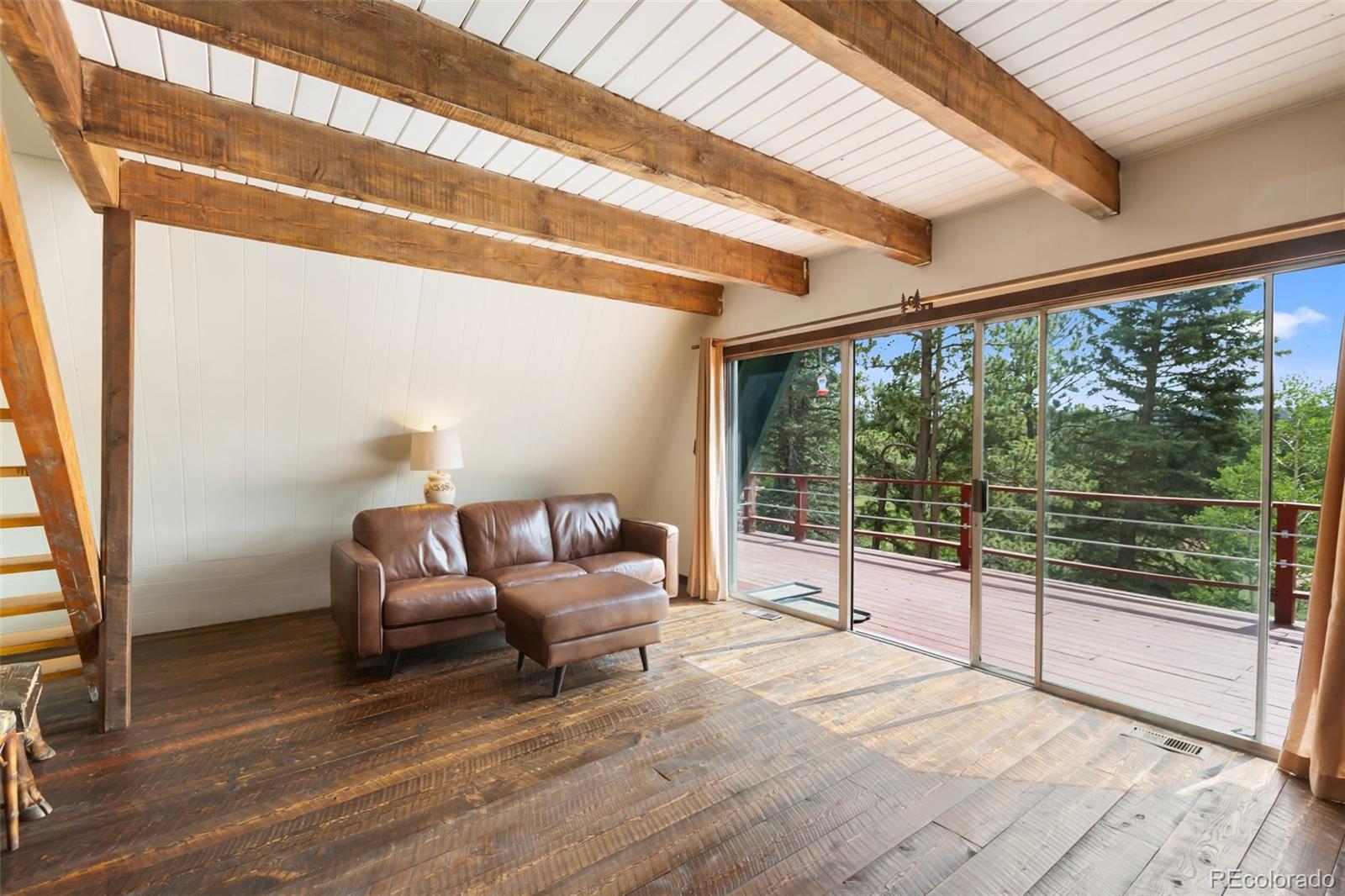 MLS Image #5 for 413 w lake drive,divide, Colorado