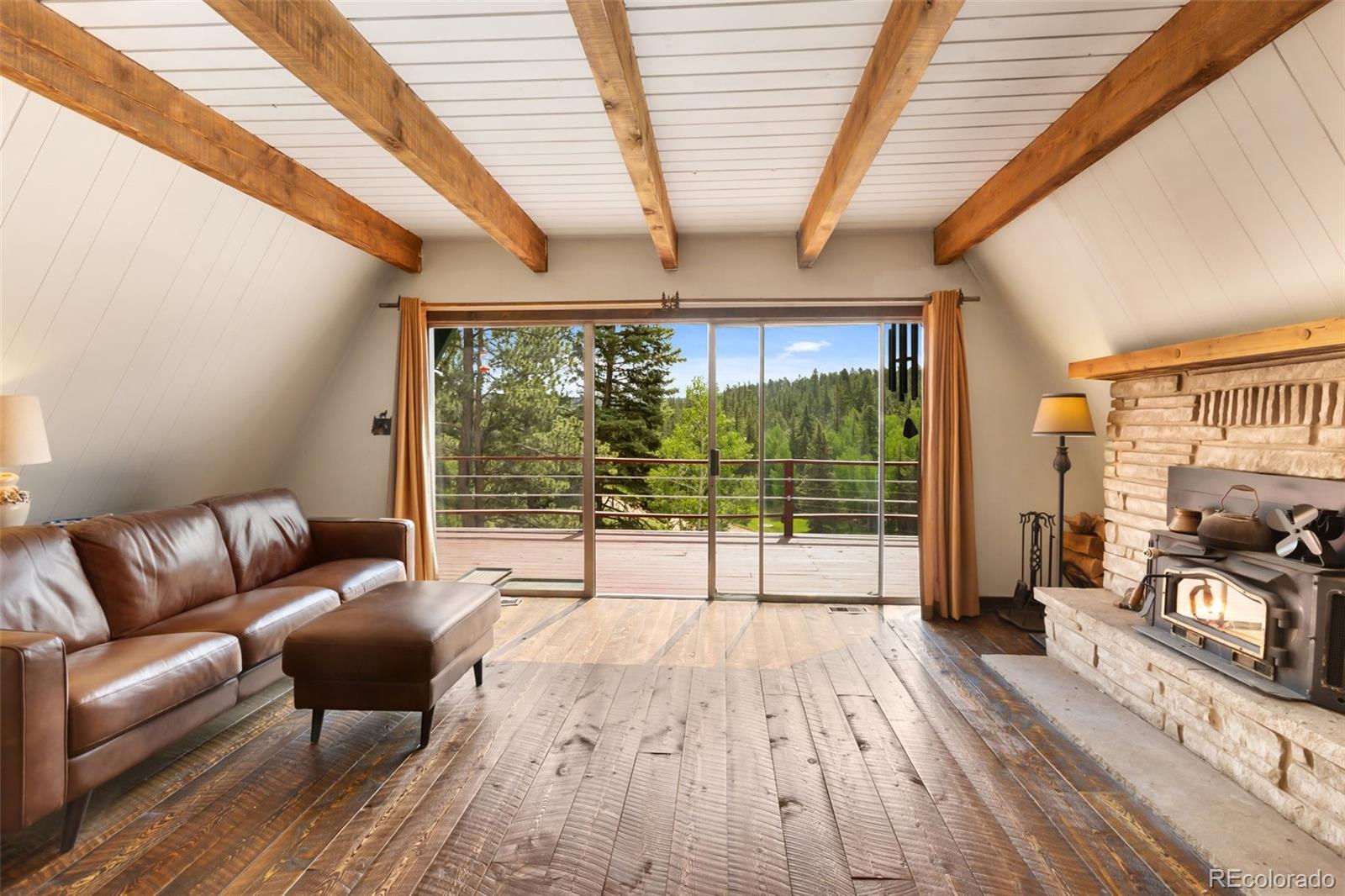 MLS Image #8 for 413 w lake drive,divide, Colorado