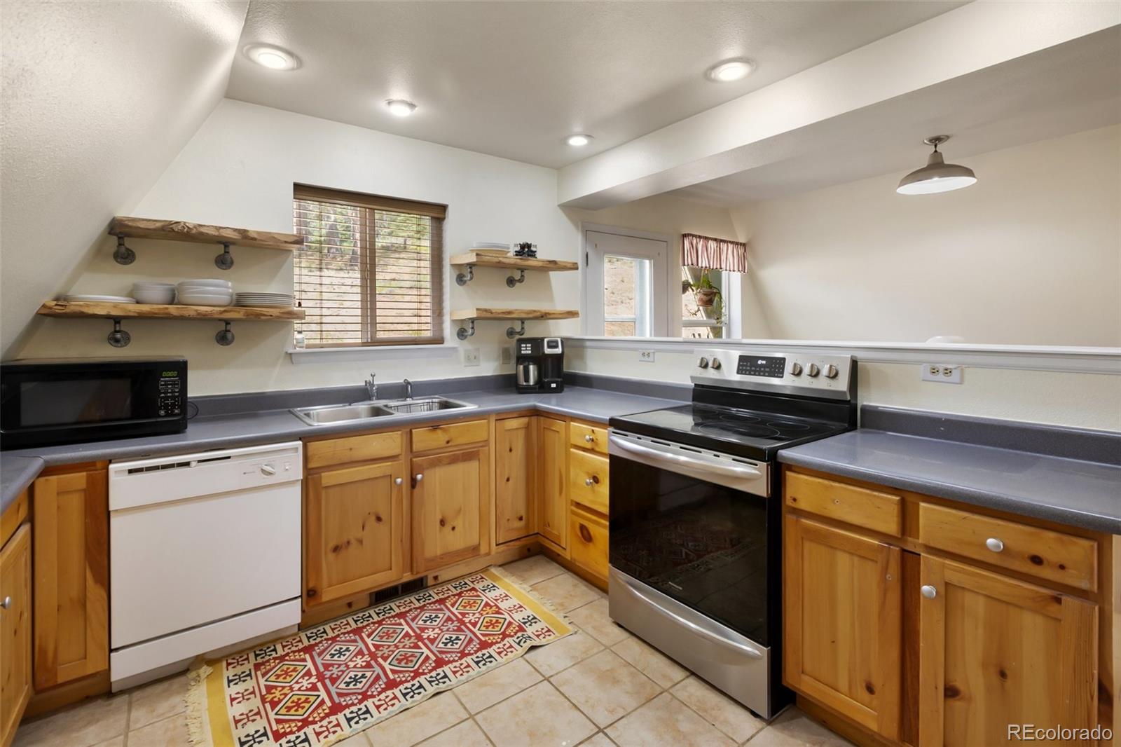 MLS Image #9 for 413 w lake drive,divide, Colorado