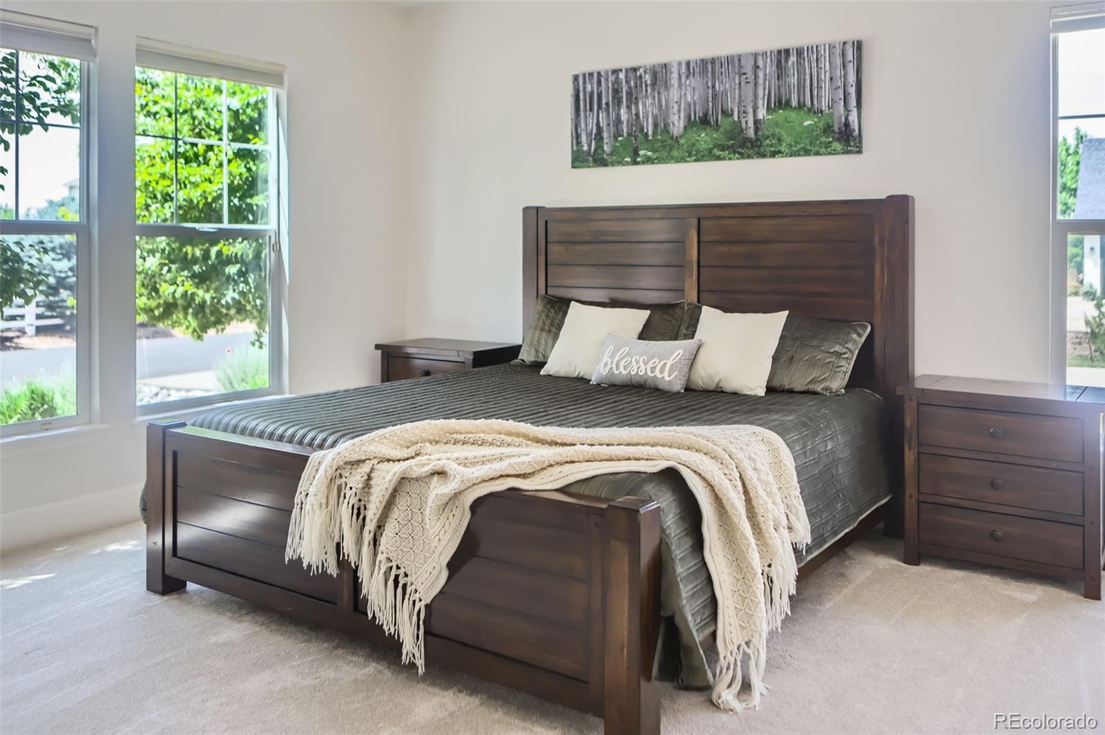 MLS Image #20 for 3525  rinn valley drive,longmont, Colorado