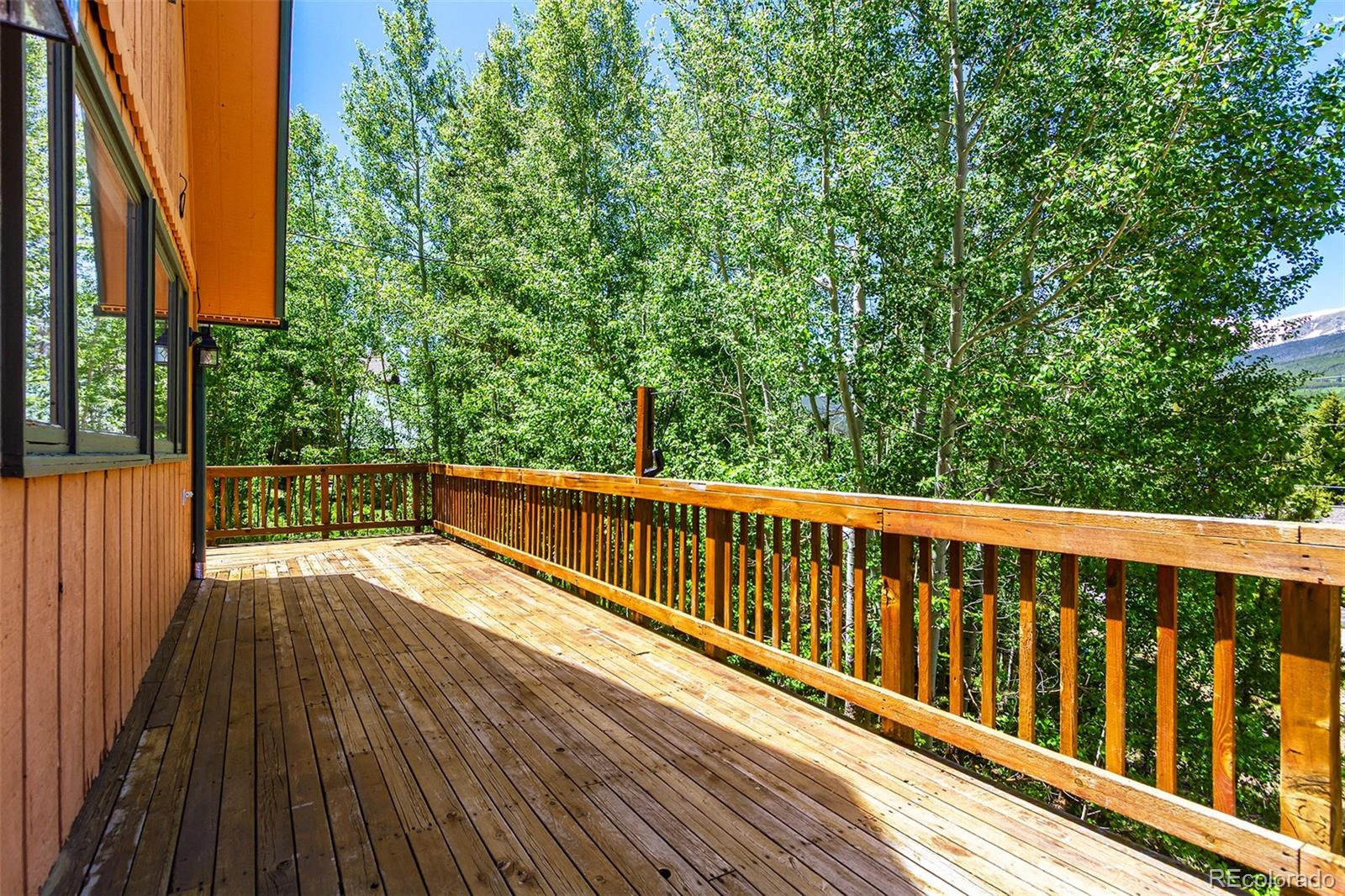 MLS Image #12 for 422  fairview boulevard,breckenridge, Colorado