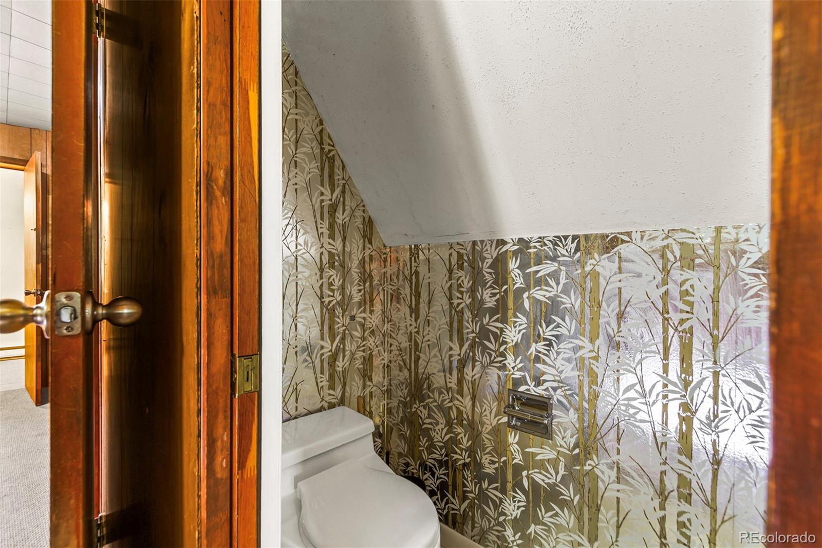 MLS Image #21 for 422  fairview boulevard,breckenridge, Colorado