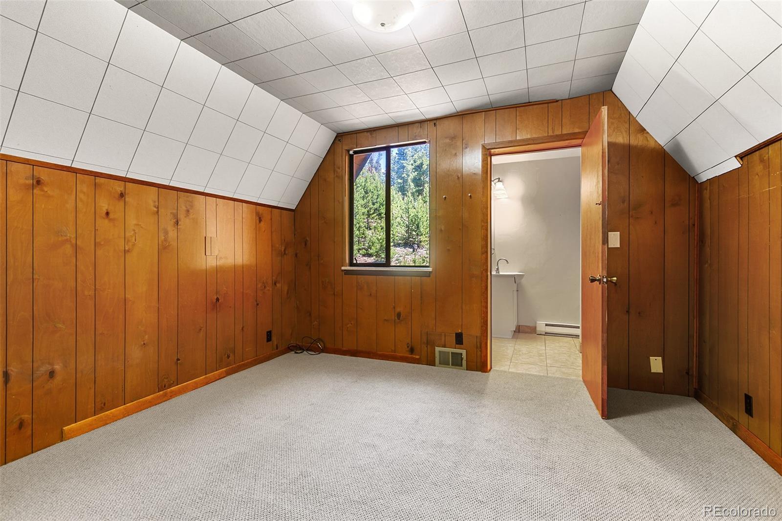 MLS Image #22 for 422  fairview boulevard,breckenridge, Colorado
