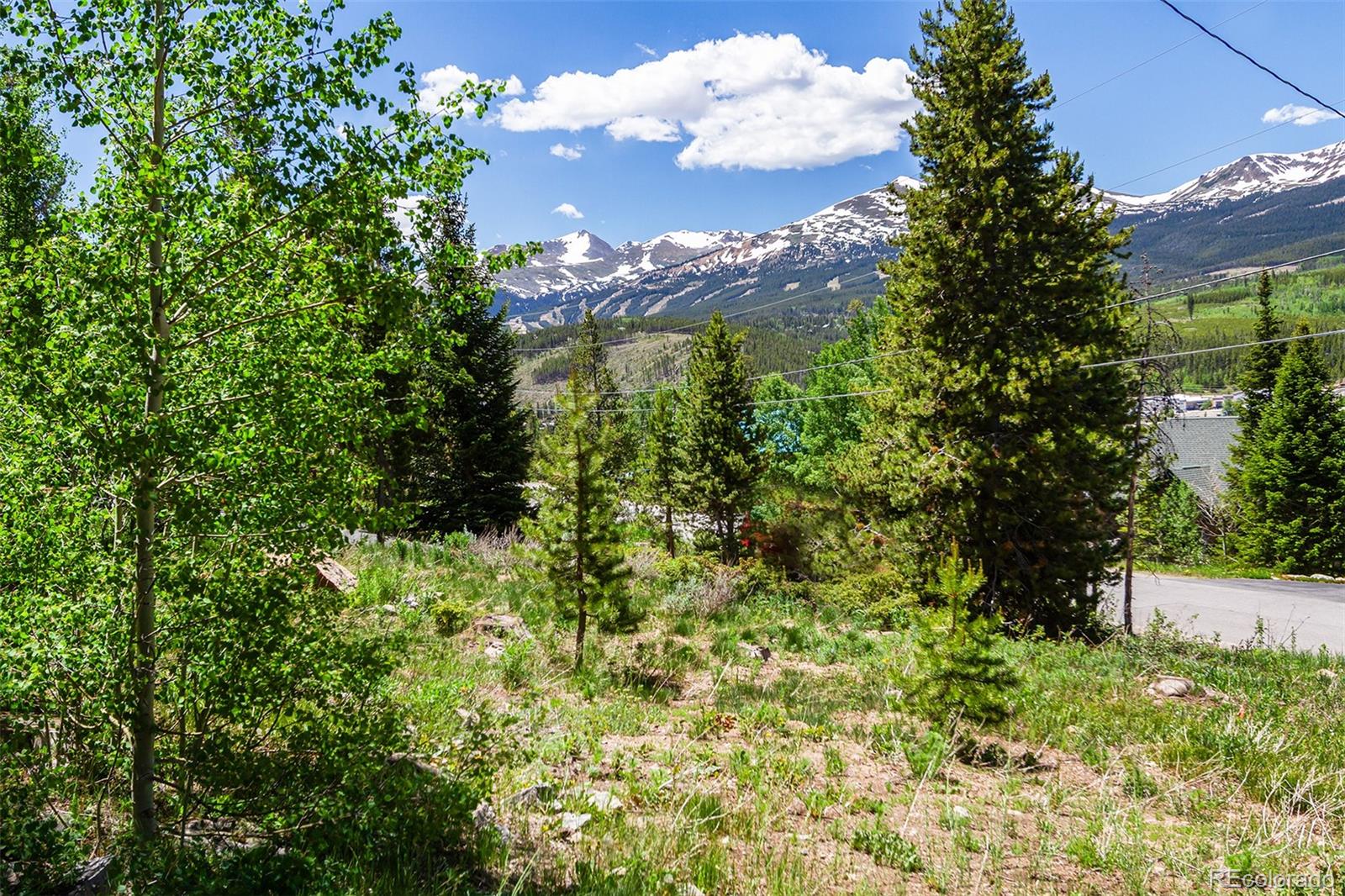 MLS Image #4 for 422  fairview boulevard,breckenridge, Colorado