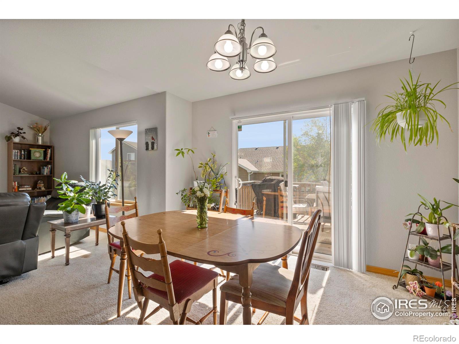 MLS Image #10 for 8818  indian village drive,wellington, Colorado