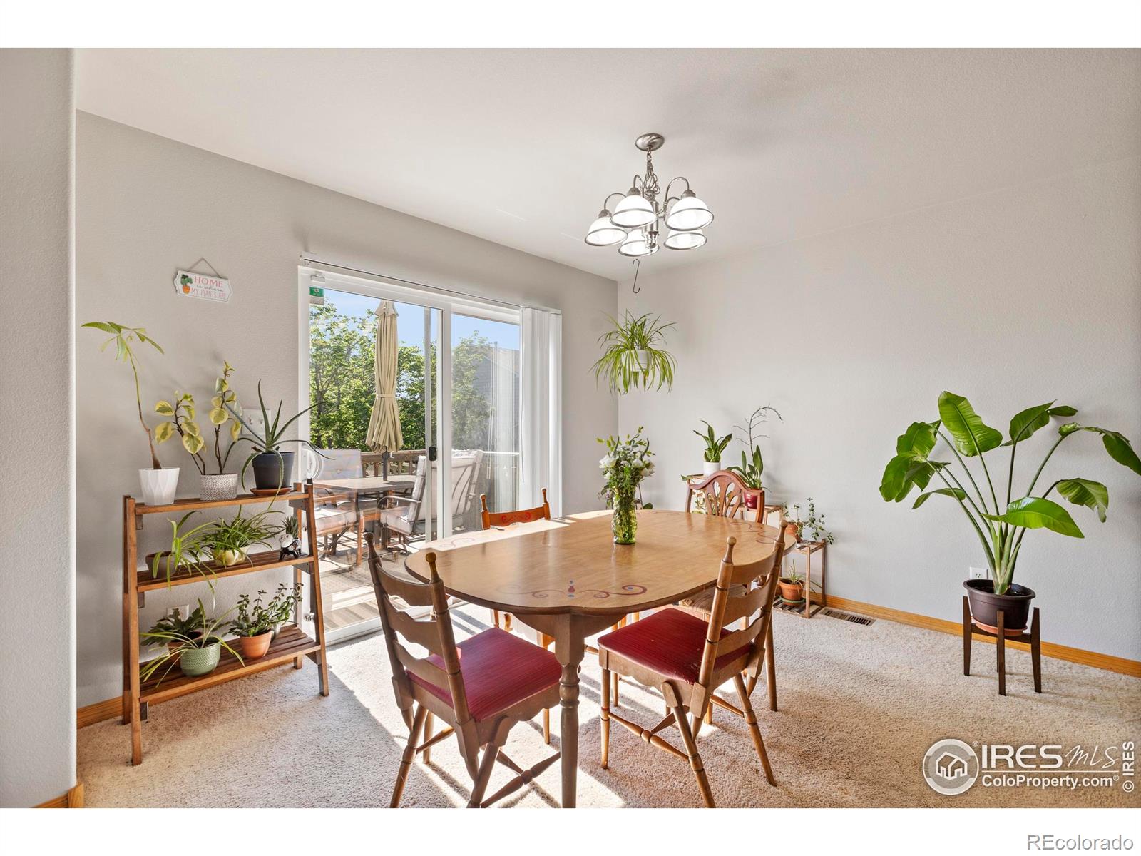 MLS Image #13 for 8818  indian village drive,wellington, Colorado