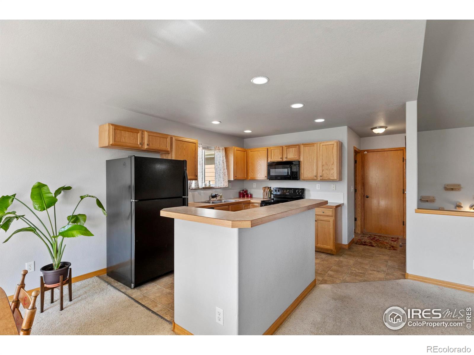 MLS Image #17 for 8818  indian village drive,wellington, Colorado