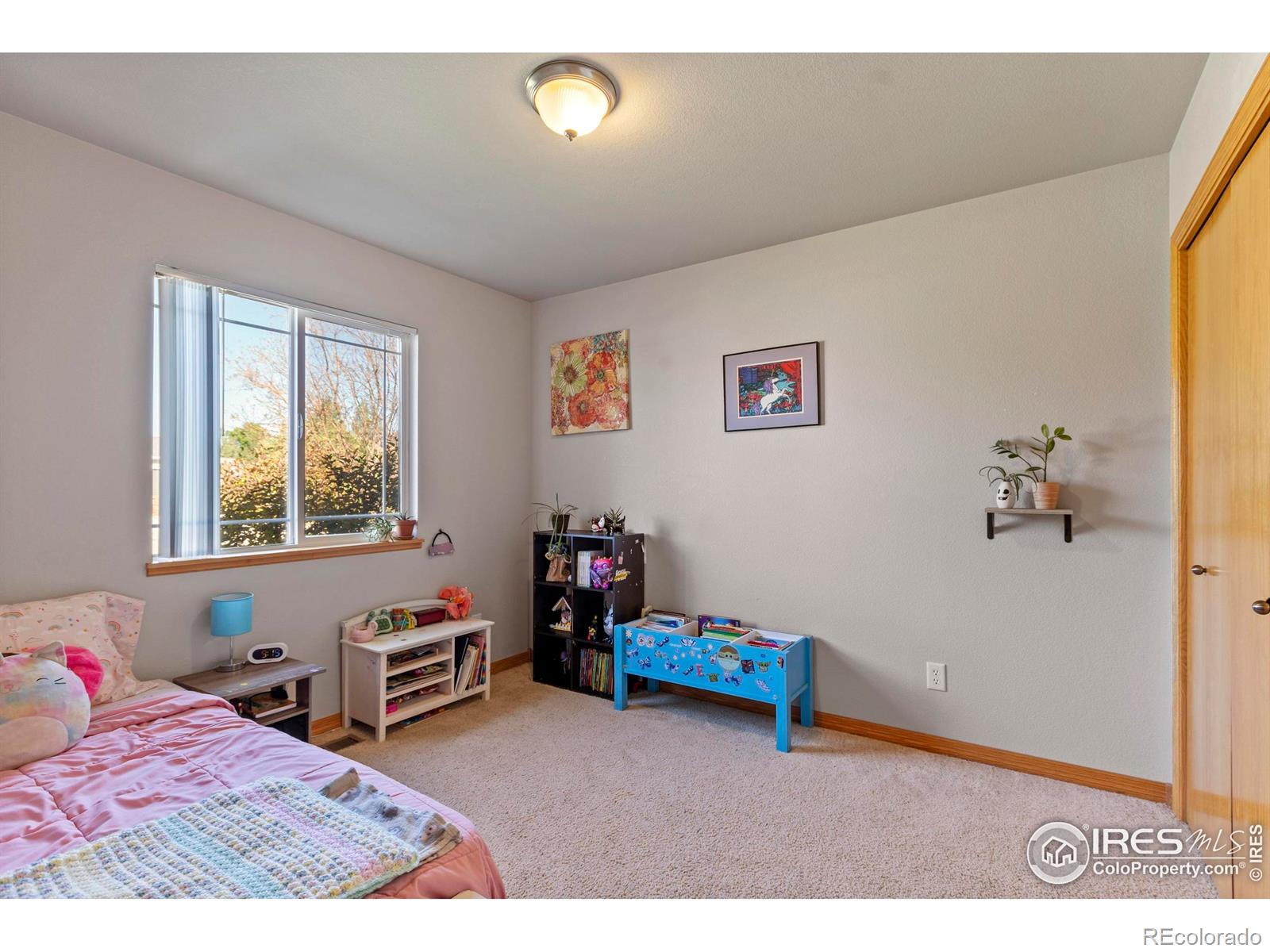 MLS Image #25 for 8818  indian village drive,wellington, Colorado