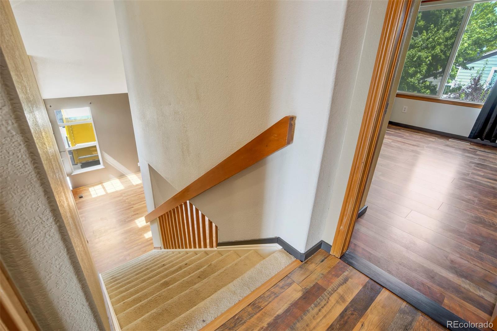 MLS Image #13 for 8791  starwood lane,parker, Colorado