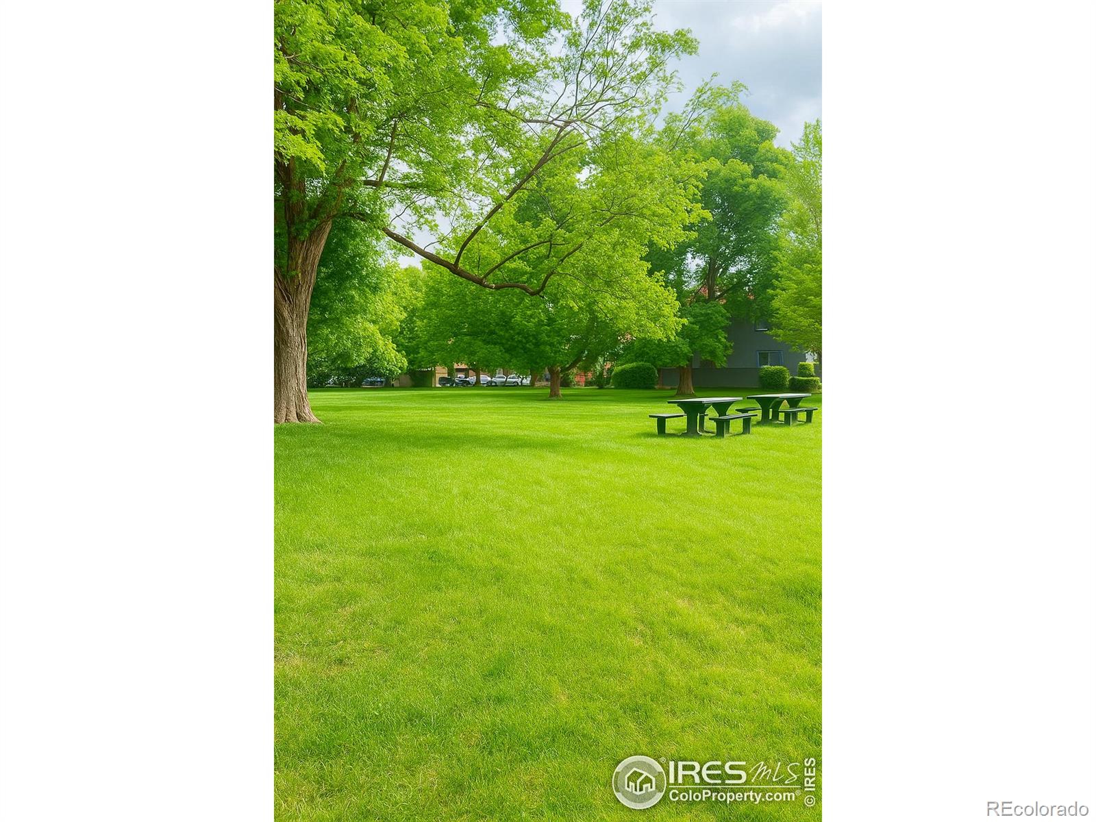 MLS Image #12 for 3119  westwood court,boulder, Colorado