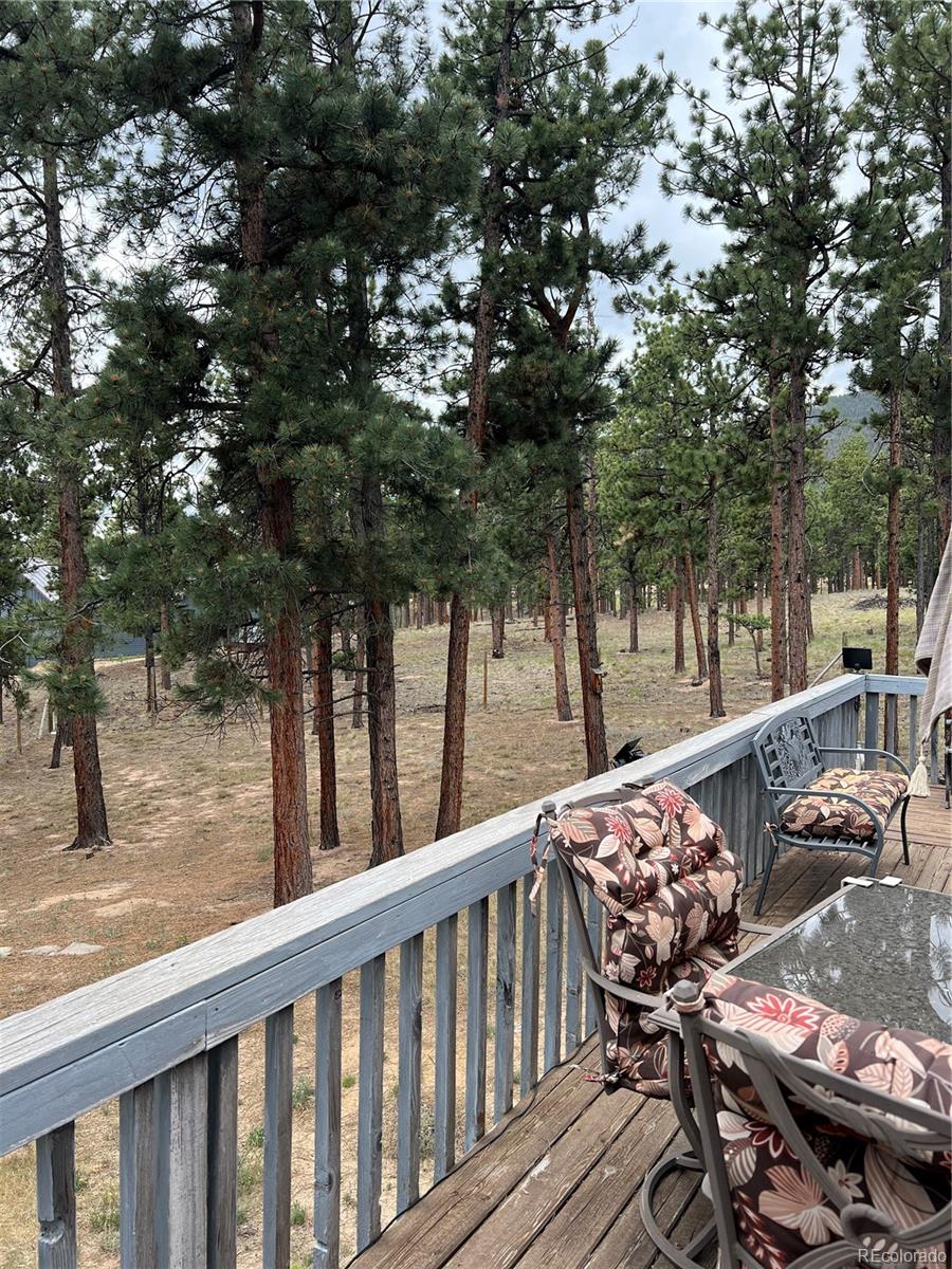 MLS Image #2 for 16530  mt princeton road,buena vista, Colorado