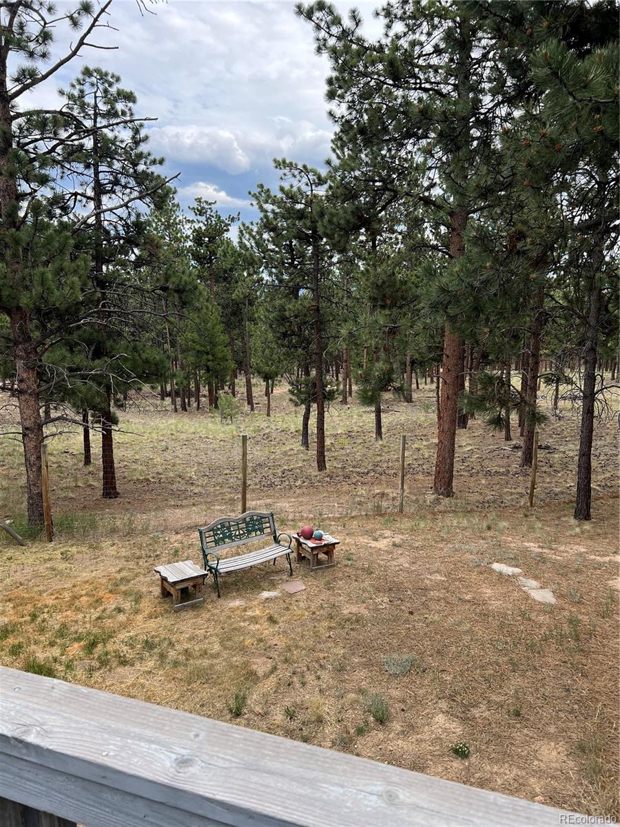MLS Image #3 for 16530  mt princeton road,buena vista, Colorado