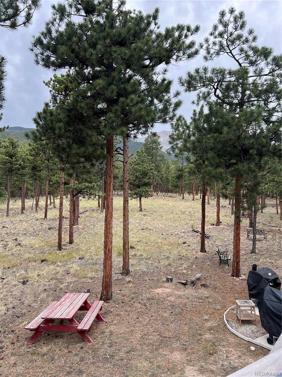 MLS Image #4 for 16530  mt princeton road,buena vista, Colorado