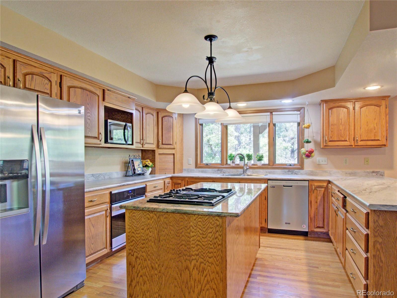 MLS Image #11 for 20380  silver horn lane,monument, Colorado