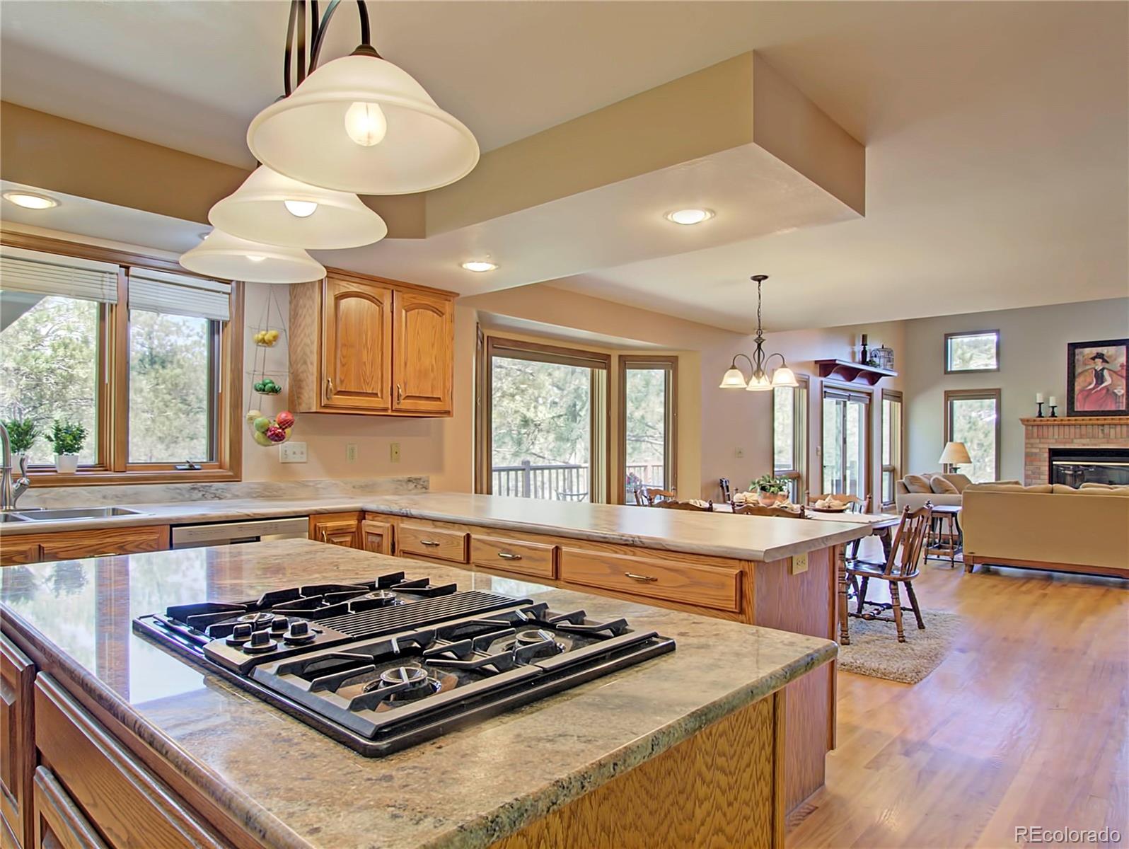 MLS Image #13 for 20380  silver horn lane,monument, Colorado
