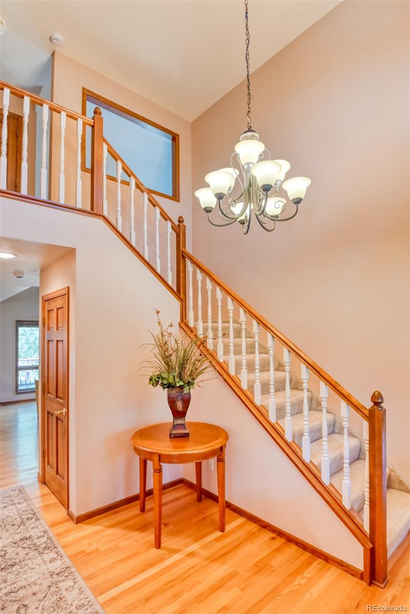 MLS Image #3 for 20380  silver horn lane,monument, Colorado