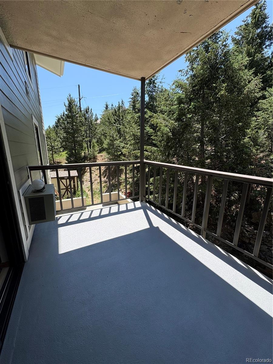 MLS Image #5 for 31270  john wallace road,evergreen, Colorado