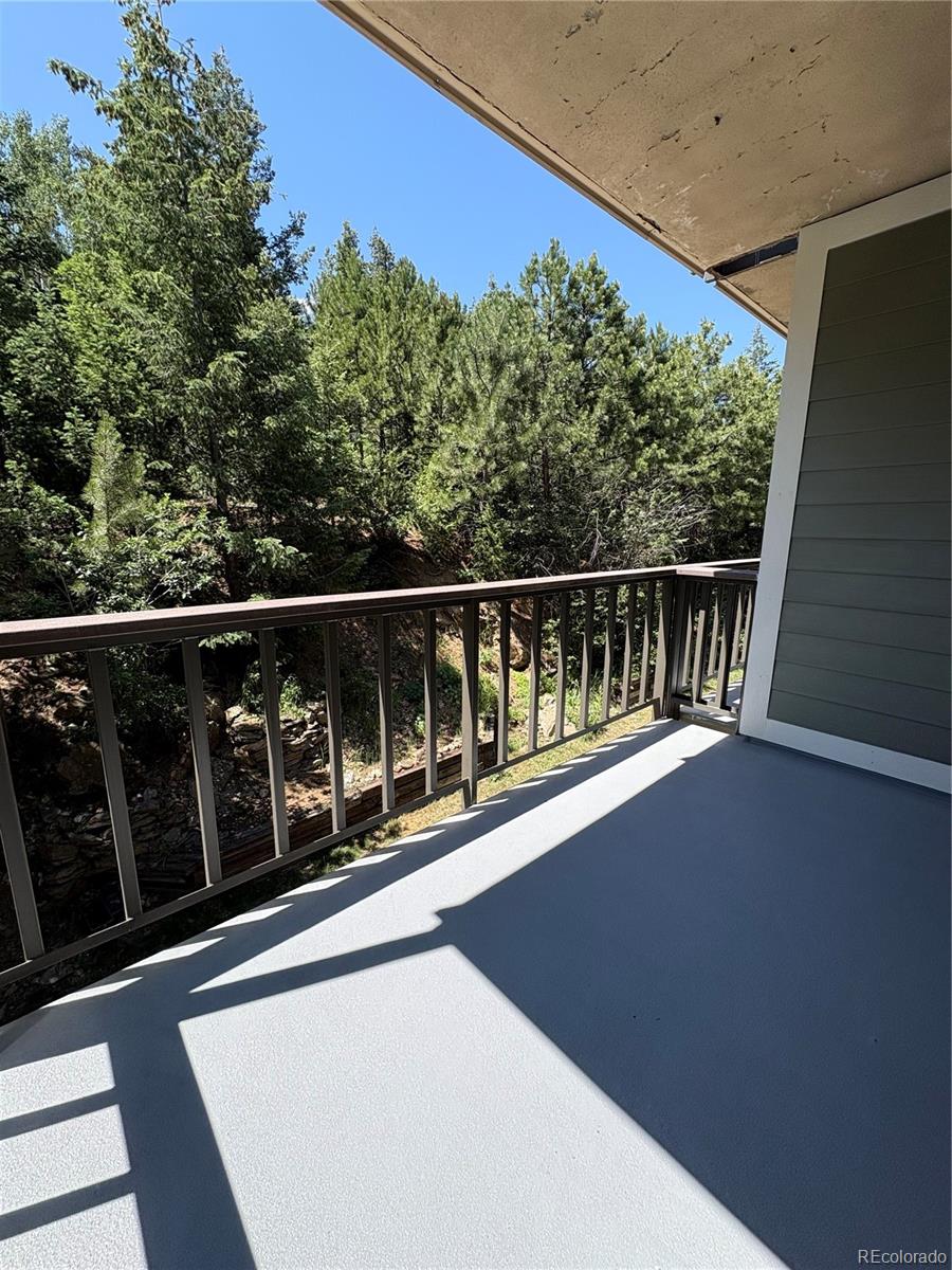MLS Image #6 for 31270  john wallace road,evergreen, Colorado